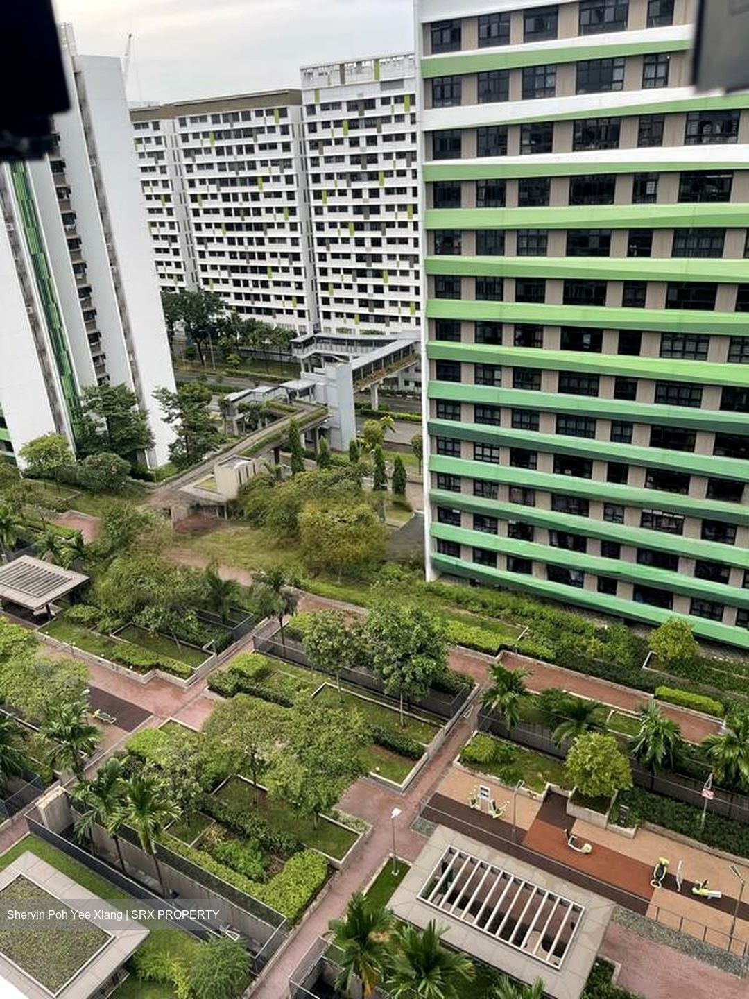 Tampines Street 61 (Tampines), Multi Generation #459716781
